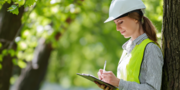 Что изменится после выхода ISO 14001:2026 и придется ли пересматривать экологические процессы