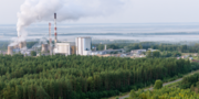 С 1 сентября 2026 года вступают в силу новые требования для объектов хранения растительного сырья