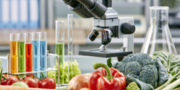 В России утвердили новый ГОСТ для растительной пищевой продукции: что изменится с 1 марта 2027 года